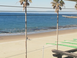 10月内海海岸のり養殖.jpg