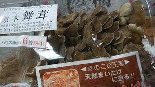 14日原木舞茸.jpg