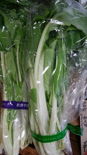 5杓子菜.jpg