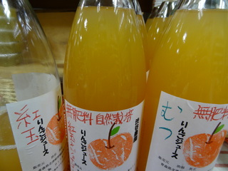 DSC00262.JPG