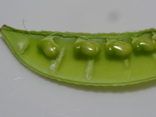 DSC02491.JPG
