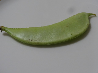 DSC02497.JPG