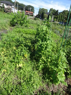 DSC03130.JPG