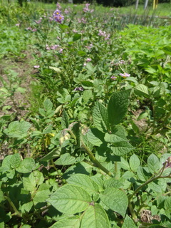 DSC03135.JPG