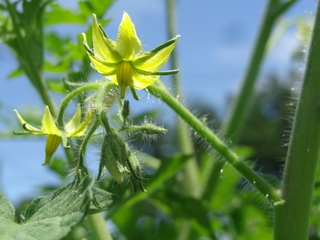 DSC03146.JPG