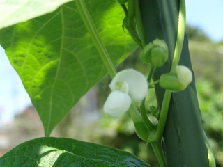 DSC03150.JPG