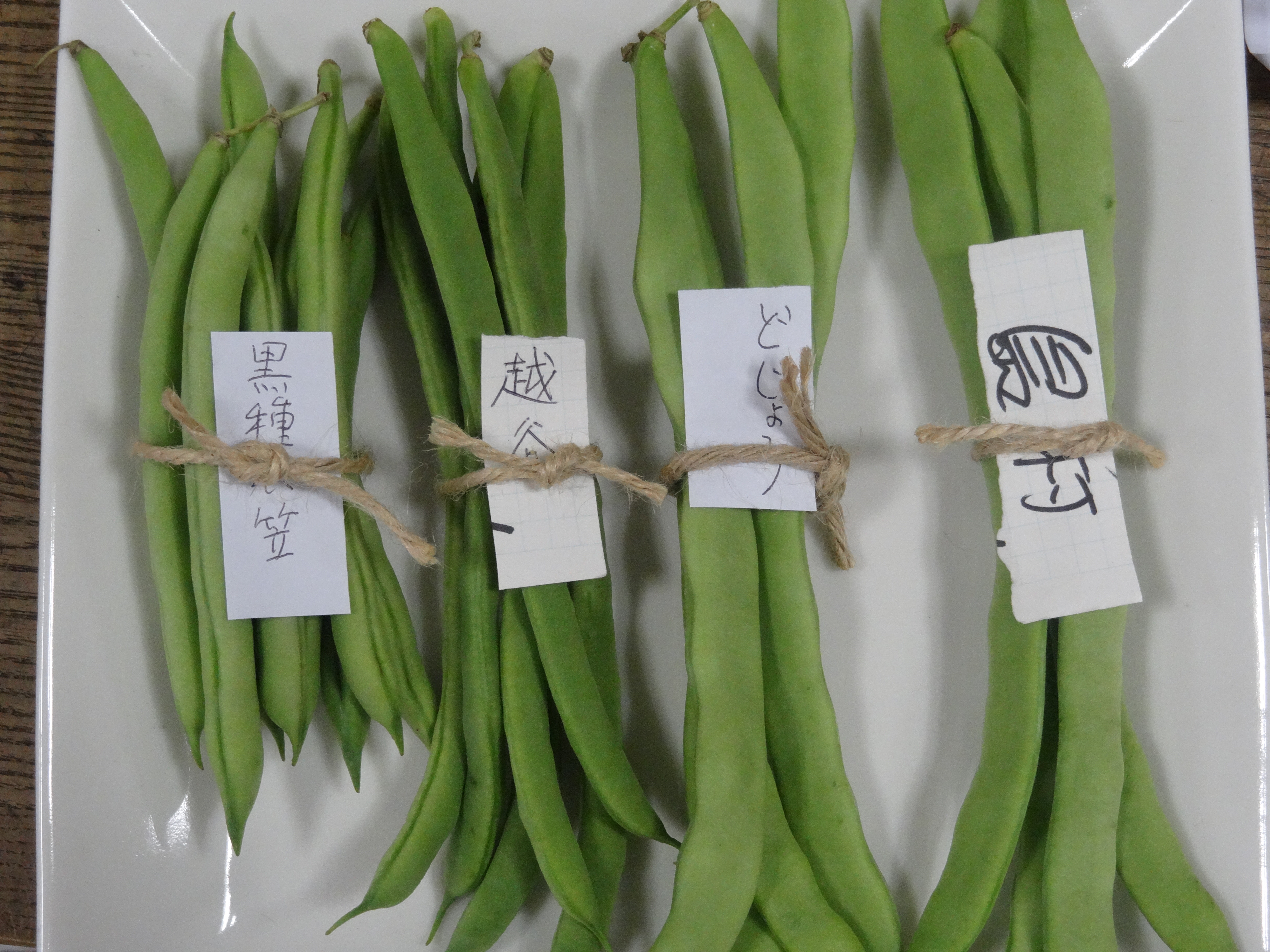 いんげん: 自然村の美味しいブログ