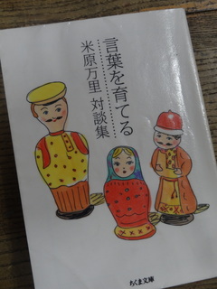 DSC03489.JPG