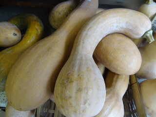DSC03526.JPG