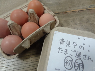 DSC03679.JPG