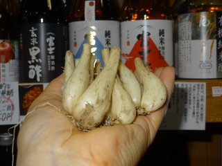 DSC04169.JPG