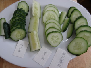 DSC04213.JPG