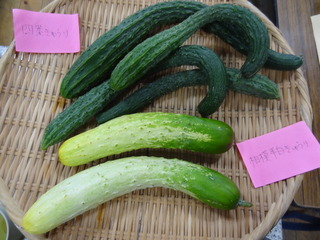 DSC04217.JPG