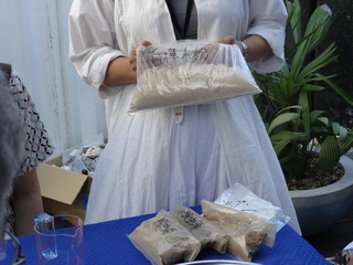 DSC04223.JPG