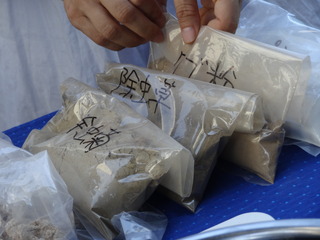 DSC04225.JPG