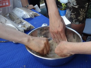 DSC04234.JPG