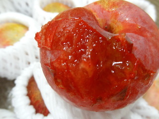 DSC04428.JPG