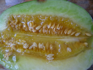 DSC04452.JPG