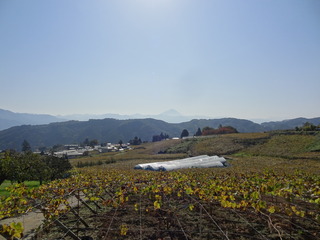 DSC04698.JPG