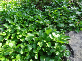 DSC04699.JPG