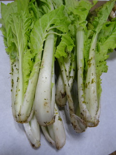 DSC04724.JPG