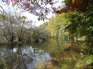 DSC04744.JPG