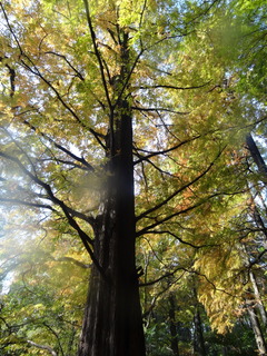 DSC04745.JPG
