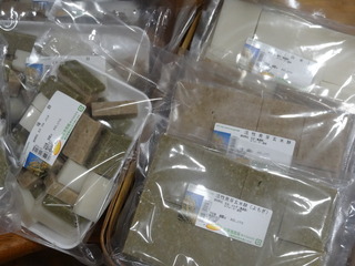 DSC04759.JPG