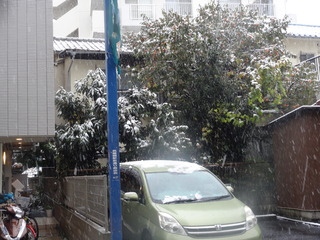 DSC04762.JPG
