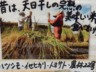 DSC04825.JPG
