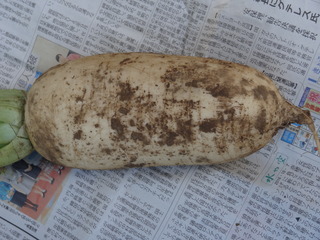 DSC04832.JPG
