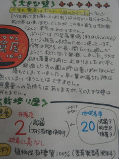 DSC04855.JPG