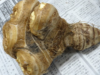 DSC04878.JPG
