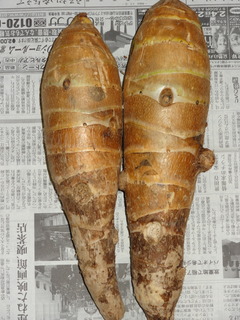DSC04879.JPG
