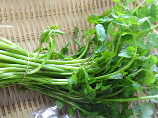 DSC04902.JPG