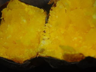 DSC05147.JPG