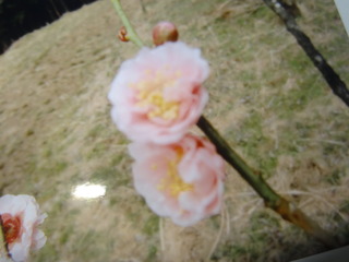 DSC05219.JPG