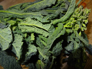 DSC05291.JPG