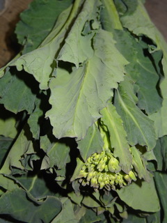 DSC05295.JPG