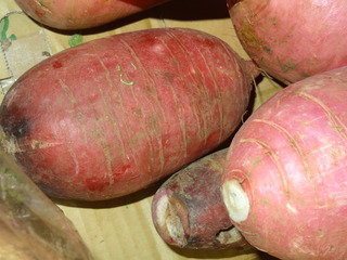 DSC05297.JPG