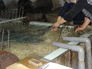 DSC05408.JPG