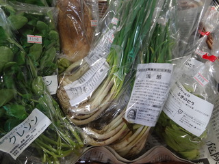 DSC05433.JPG