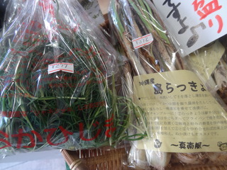 DSC05518.JPG