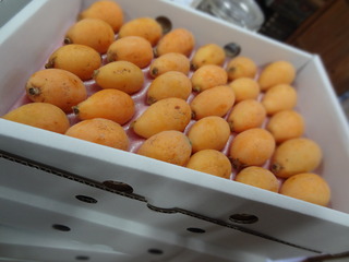 DSC05519.JPG