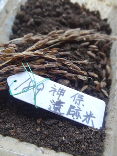 DSC05551.JPG