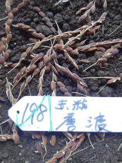 DSC05554.JPG