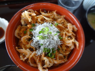 DSC05569.JPG