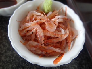 DSC05570.JPG