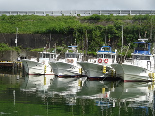 DSC05577.JPG