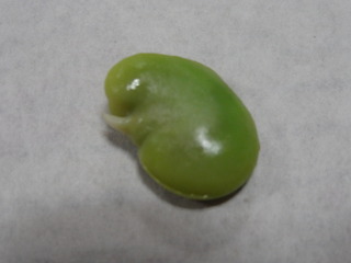 DSC05645.JPG